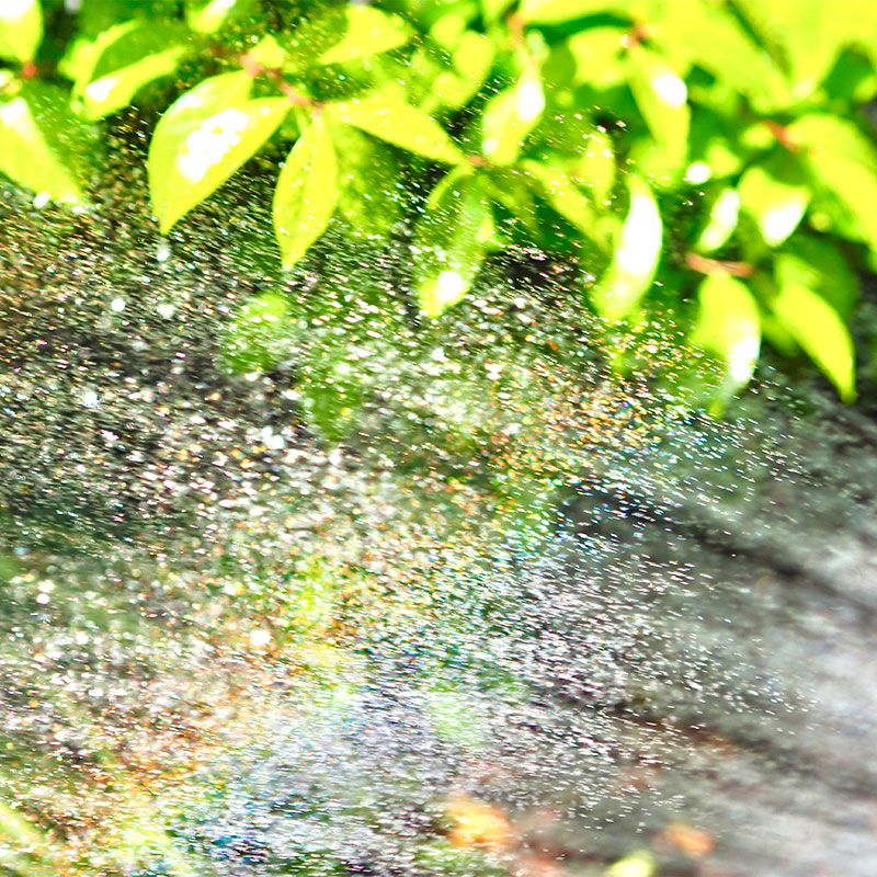 家事代行サービス 植木の水やり